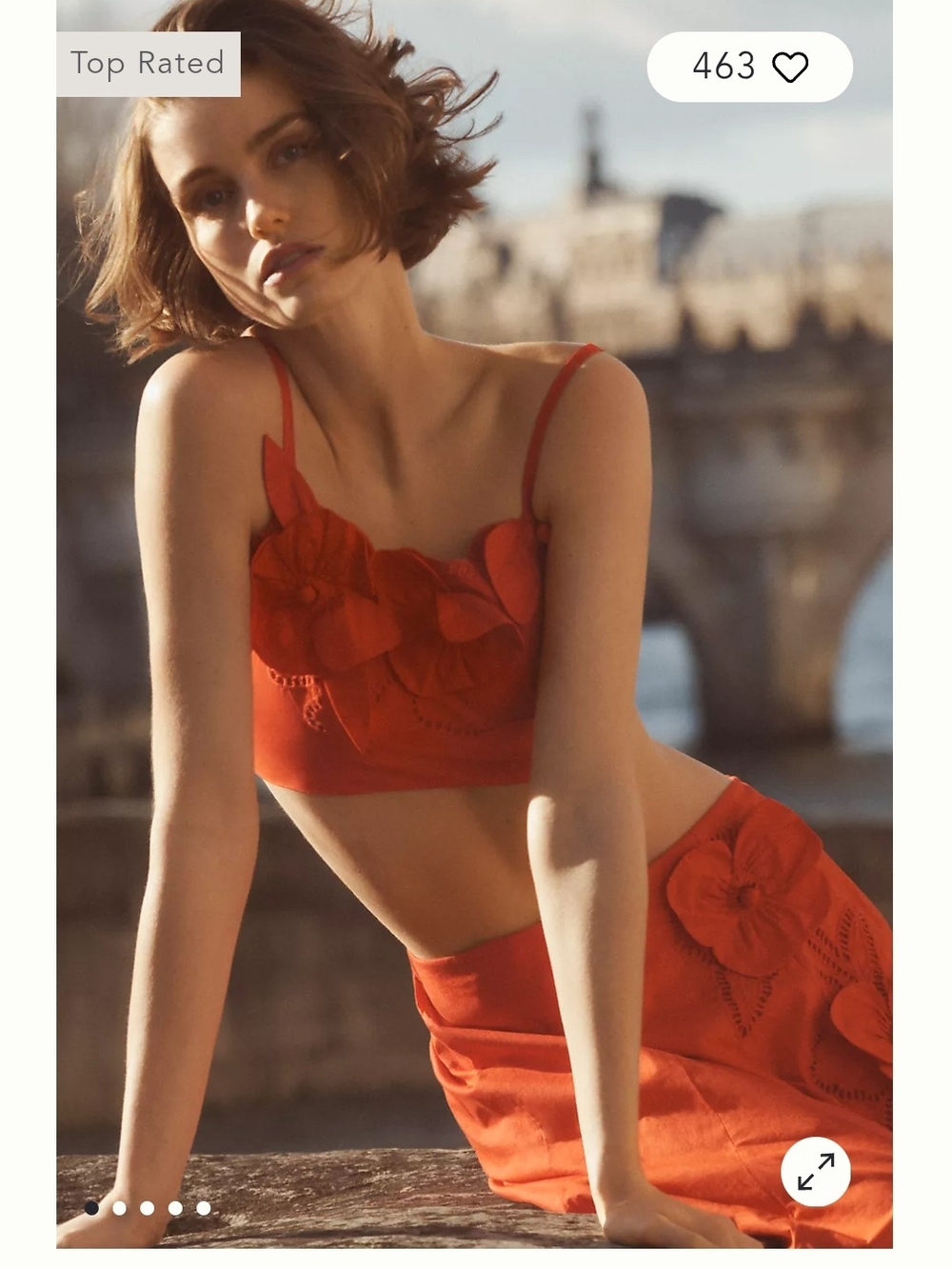Anthropologie Maeve Red Floral Appliqué Crop Top XL NWT